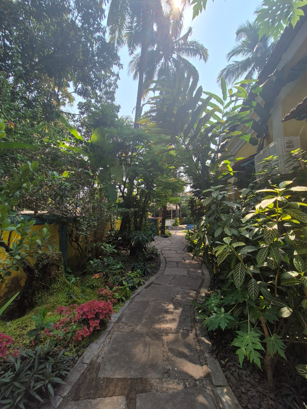 Winding green pathway to the pool at Valentine Villa